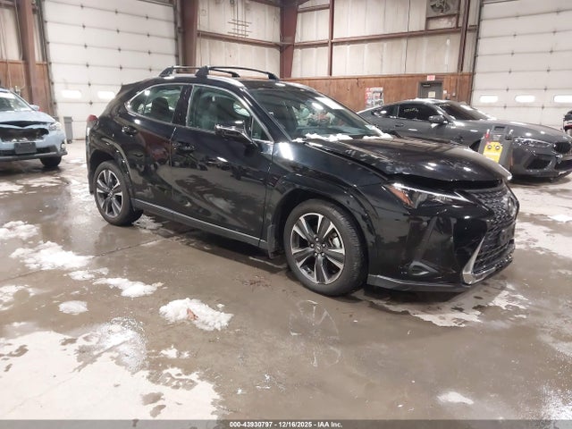 2025 LEXUS UX 300H JTHUCJDH9S2006318