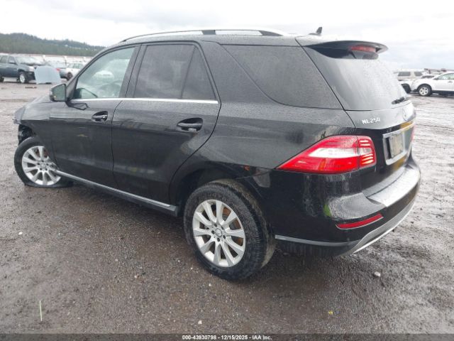 2015 MERCEDES-BENZ ML 250 BLUETEC 4JGDA0EB3FA615889 Photo 2