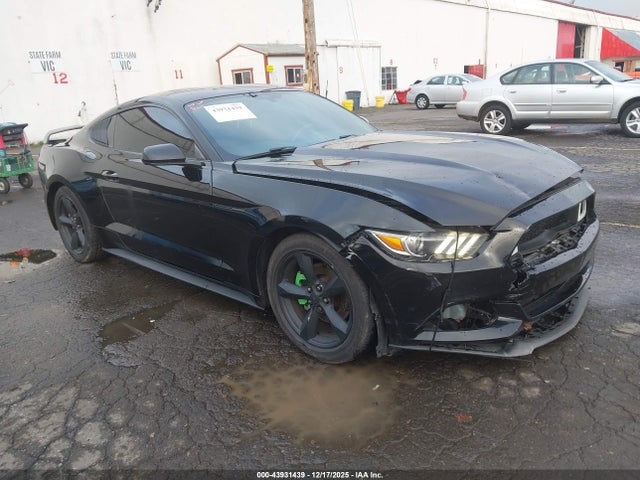 2015 1FA6P8AM7F5326661 main image