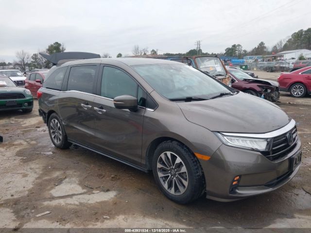 2022 HONDA ODYSSEY 5FNRL6H78NB035493