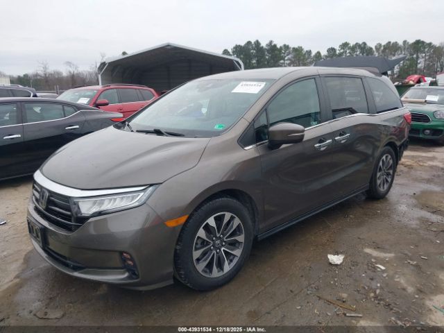 2022 HONDA ODYSSEY 5FNRL6H78NB035493 Photo 1
