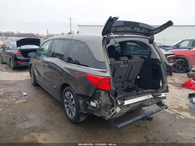 2022 HONDA ODYSSEY 5FNRL6H78NB035493 Photo 2