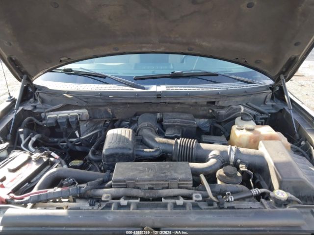 2010 FORD F-150 1FTFW1EV0AFB82073 Photo 9