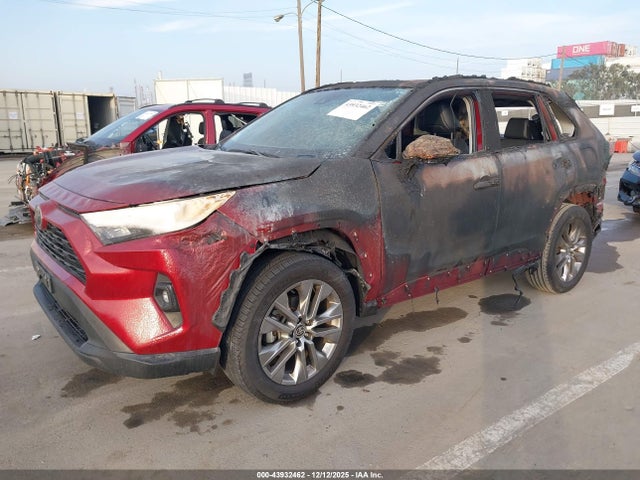 2023 TOYOTA RAV4 2T3C1RFV6PW253816 Photo 1