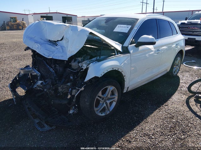 2019 AUDI Q5 WA1ANAFY8K2092033 Photo 1