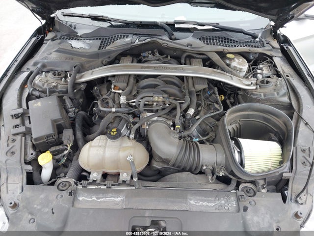 Ford Mustang Bullitt 2019 1FA6P8K02K5505552 Image 10