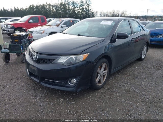 Auction sale of the 2013 Toyota Camry Se, vin: 4T1BF1FK1DU219033, lot number: 43933867