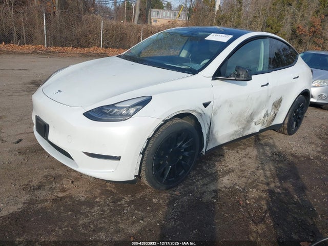 2021 TESLA MODEL Y 5YJYGDEE3MF076930 Photo 1