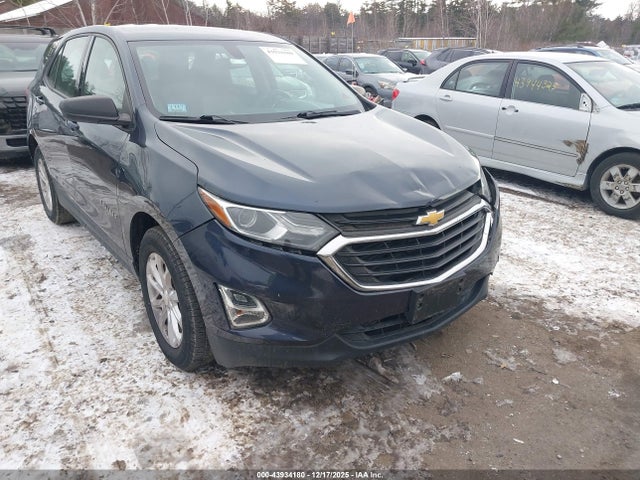 3GNAXHEV2KS517788 Chevrolet EQUINOX LS