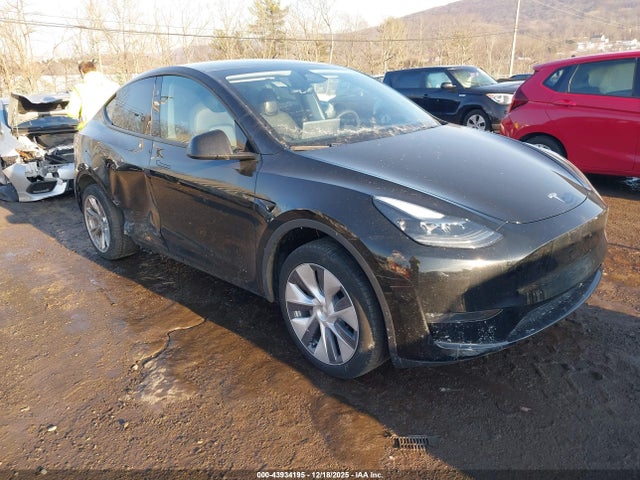 2024 TESLA MODEL Y 7SAYGDEE6RA239156 Photo 0