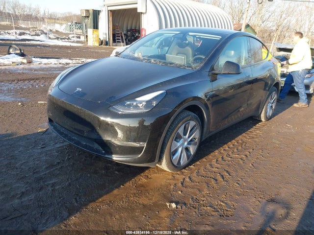 2024 TESLA MODEL Y 7SAYGDEE6RA239156 Photo 1