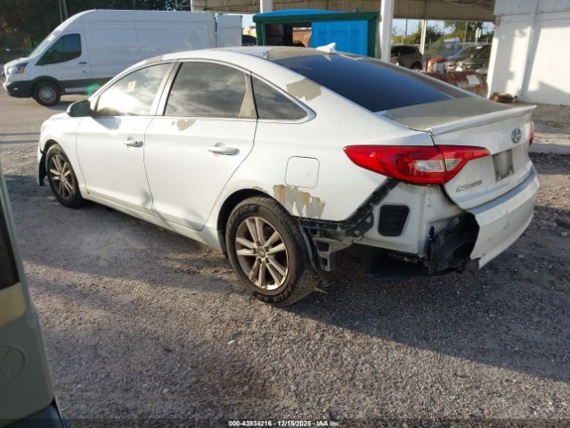 2017 HYUNDAI SONATA 5NPE24AFXHH487149 Photo 2