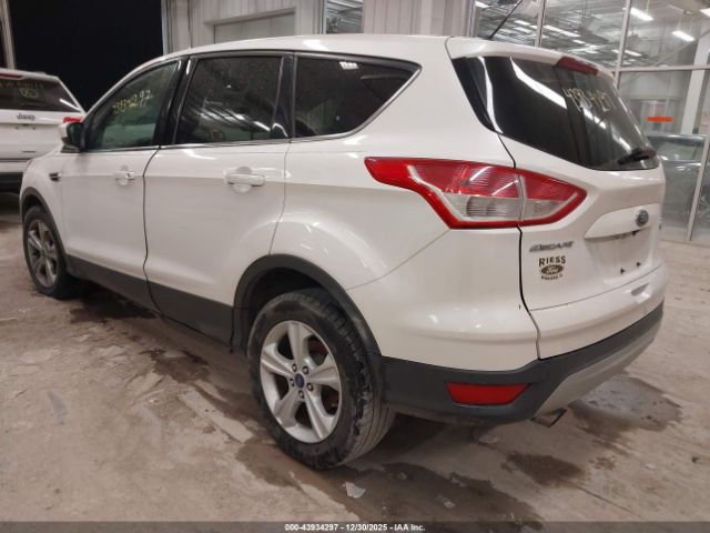 2015 FORD ESCAPE 1FMCU0GX8FUC24022 Photo 2