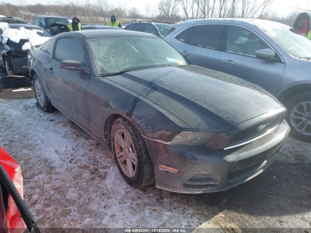 2013 FORD MUSTANG 1ZVBP8AMXD5280942