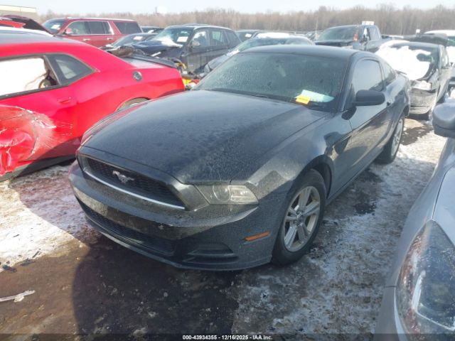 2013 FORD MUSTANG 1ZVBP8AMXD5280942 Photo 1