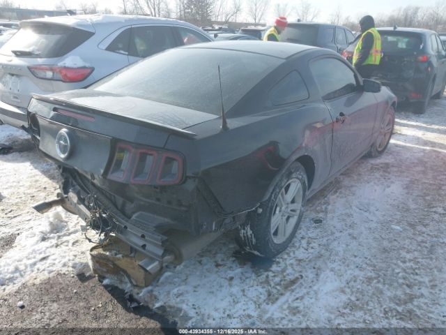 2013 FORD MUSTANG 1ZVBP8AMXD5280942 Photo 3
