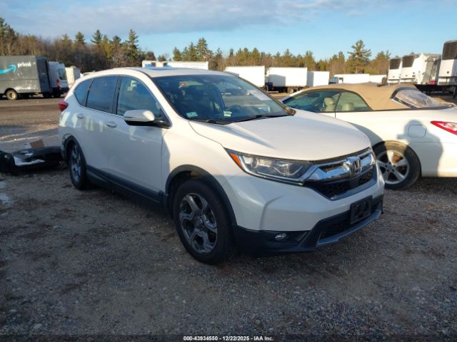 2019 HONDA CR-V 5J6RW2H59KL025959
