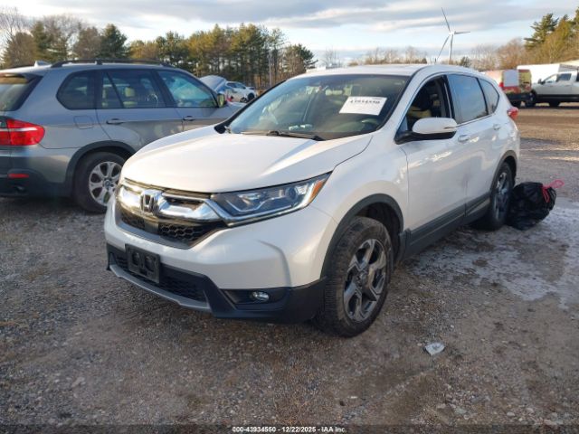 2019 HONDA CR-V 5J6RW2H59KL025959 Photo 1