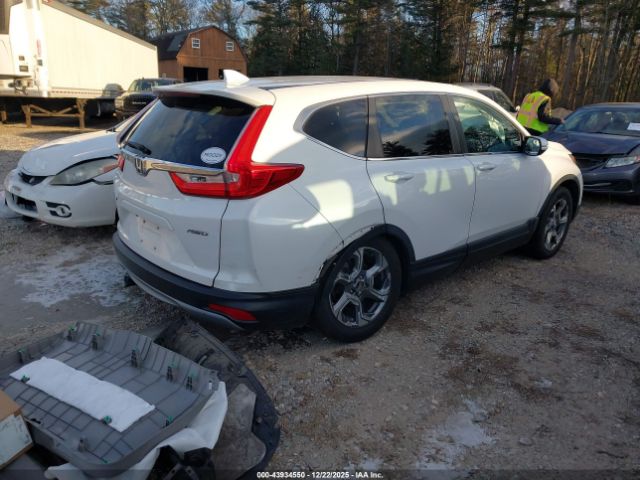 2019 HONDA CR-V 5J6RW2H59KL025959 Photo 3