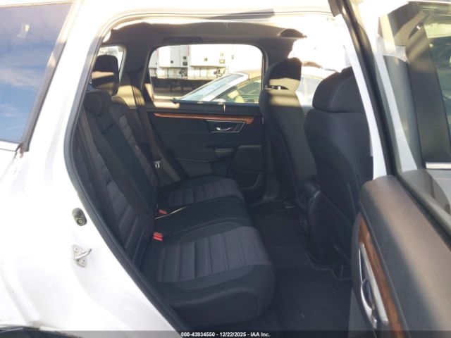 2019 HONDA CR-V 5J6RW2H59KL025959 Photo 7