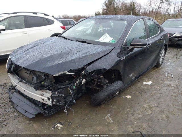 2019 TOYOTA CAMRY HYBRID 4T1B31HK8KU512009 Photo 1