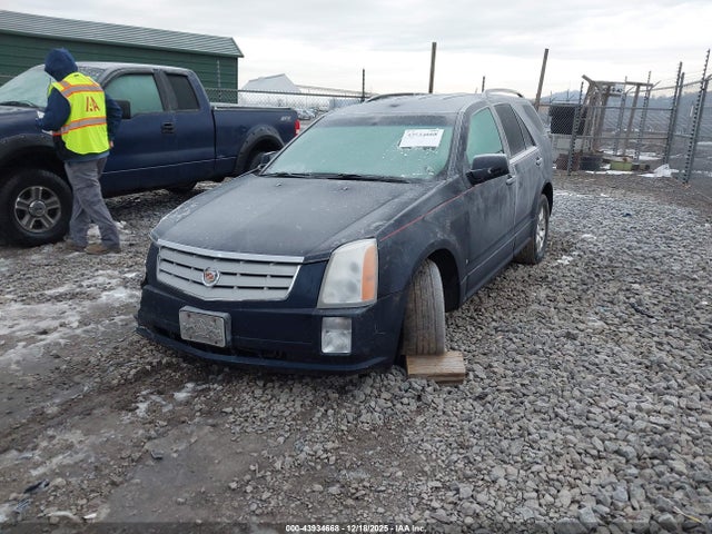 2006 CADILLAC SRX 1GYEE637260130383 Photo 1