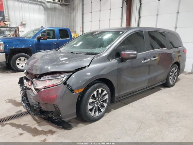 2022 HONDA ODYSSEY 5FNRL6H72NB023808 Photo 1