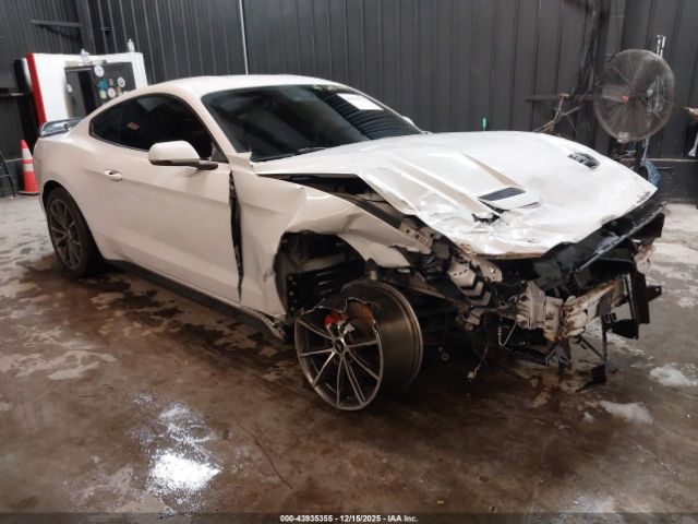 2019 FORD MUSTANG 1FA6P8TH2K5188666