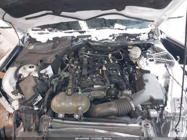 2019 FORD MUSTANG 1FA6P8TH2K5188666 Photo 9