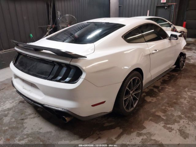2019 FORD MUSTANG 1FA6P8TH2K5188666 Photo 3