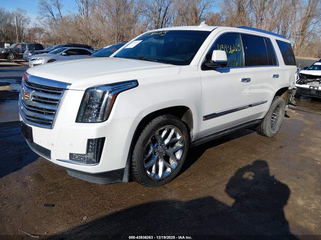 2016 CADILLAC ESCALADE 1GYS4DKJ8GR419689 Photo 1