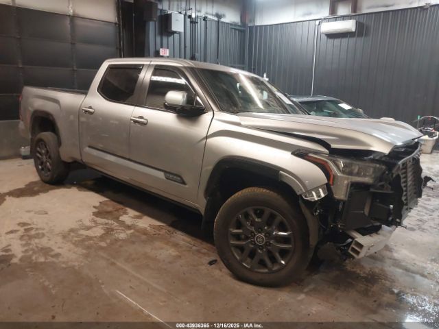 2024 TOYOTA TUNDRA 5TFNA5EC7RX031348