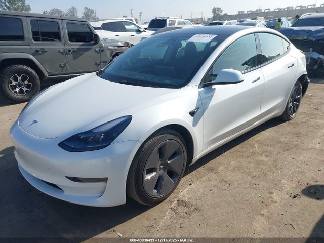 2023 TESLA MODEL 3 5YJ3E1EA5PF489495 Photo 1
