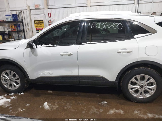 Продаж на аукціоні авто 2024 Ford Escape Active, vin: 1FMCU9GN9RUA26735, номер лоту: 43936650