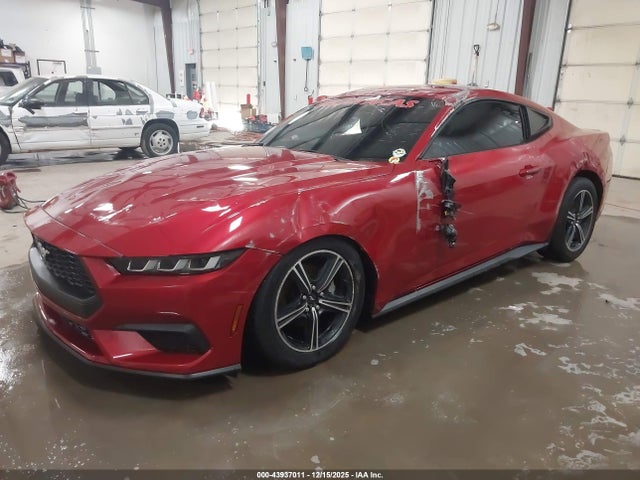 Ford Mustang Ecoboost Premium Fastback 2024 1FA6P8TH0R5124796 Image 2