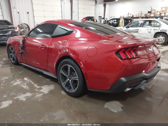 Ford Mustang Ecoboost Premium Fastback 2024 1FA6P8TH0R5124796 Image 3