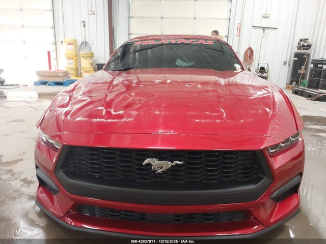 Ford Mustang Ecoboost Premium Fastback 2024 1FA6P8TH0R5124796 Image 6
