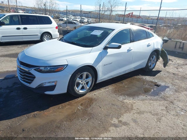 1G1ZD5ST1PF168682 Chevrolet Malibu Fwd 1lt