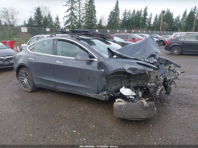 2019 TESLA MODEL 3 5YJ3E1EB9KF418544 Photo 0