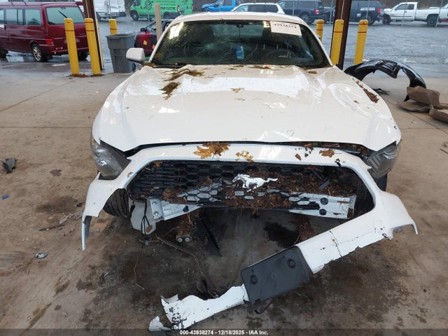 Ford Mustang Ecoboost 2016 1FA6P8TH1G5269374 Image 13