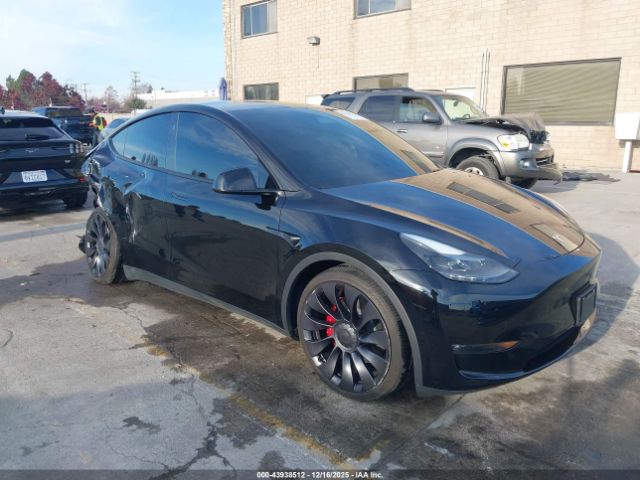 2024 TESLA MODEL Y 7SAYGDEF8RF076845