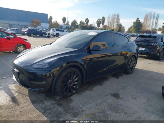2024 TESLA MODEL Y 7SAYGDEF8RF076845 Photo 1