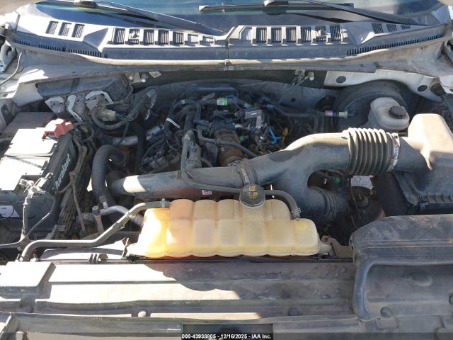 1FTEX1CP7KKC35406 Ford F-150 Xl