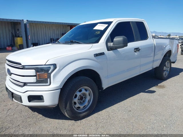 1FTEX1CP7KKC35406 Ford F-150 Xl