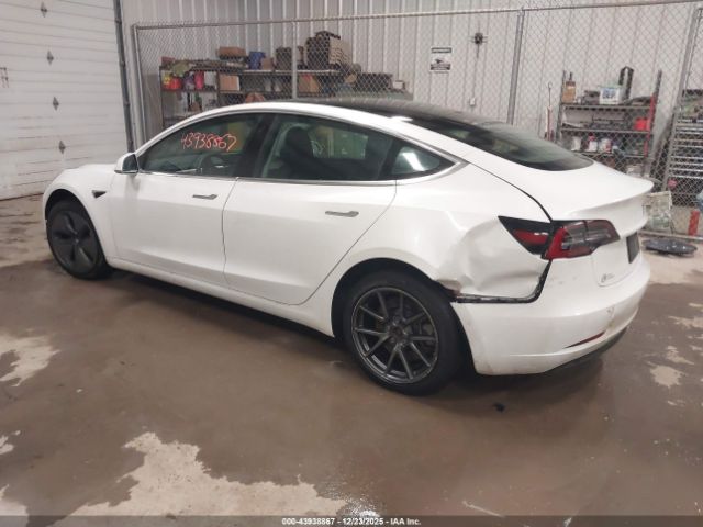 2019 TESLA MODEL 3 5YJ3E1EA1KF484240 Photo 2