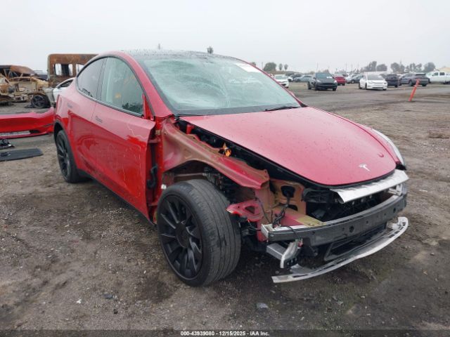 2023 TESLA MODEL Y 7SAYGDEE1PF714681