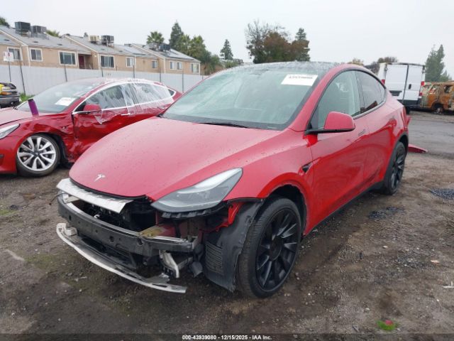 2023 TESLA MODEL Y 7SAYGDEE1PF714681 Photo 1