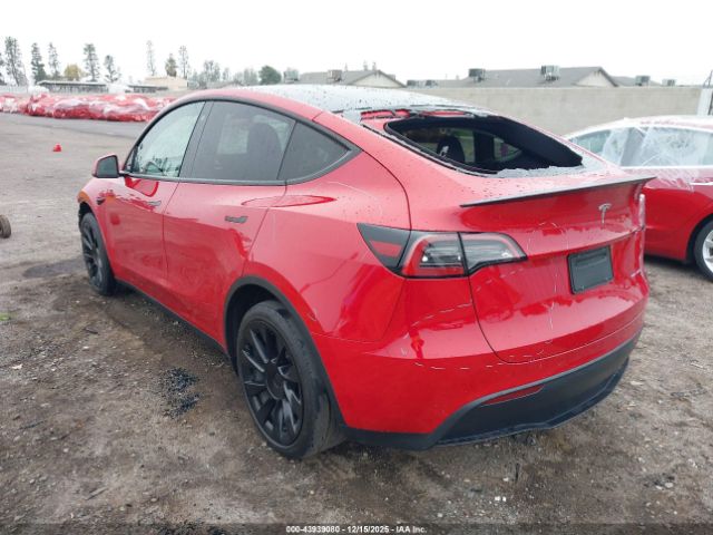 2023 TESLA MODEL Y 7SAYGDEE1PF714681 Photo 2