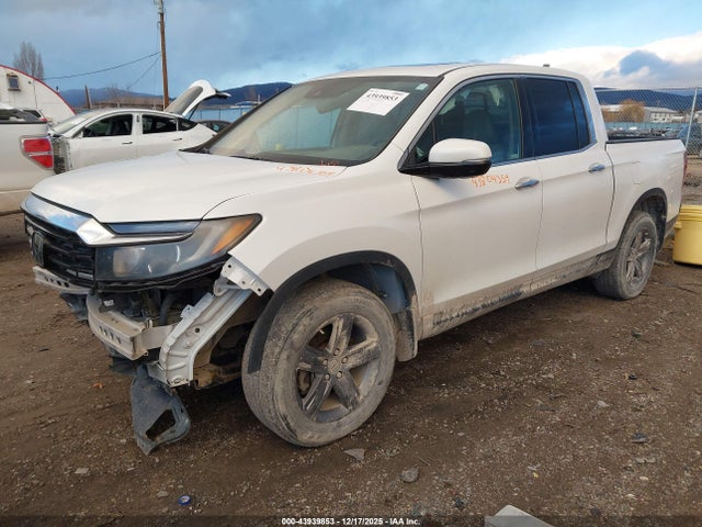 2021 HONDA RIDGELINE 5FPYK3F74MB006658 Photo 1