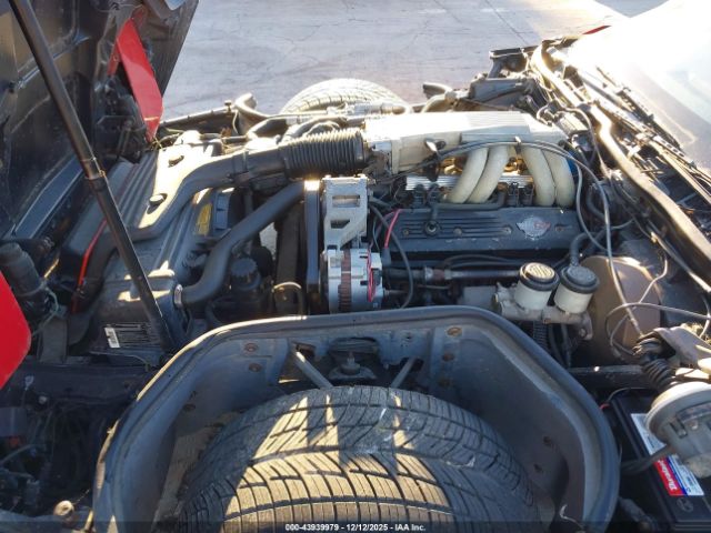 1989 CHEVROLET CORVETTE 1G1YY2186K5120430 Photo 9